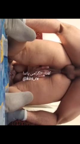 سکس ایرانی – سکس – فیلم سکسی ایرانی – سوپر ایرانی – پورن ایرانی (7108).mp4 - تماشای آنلاین در بکن تو