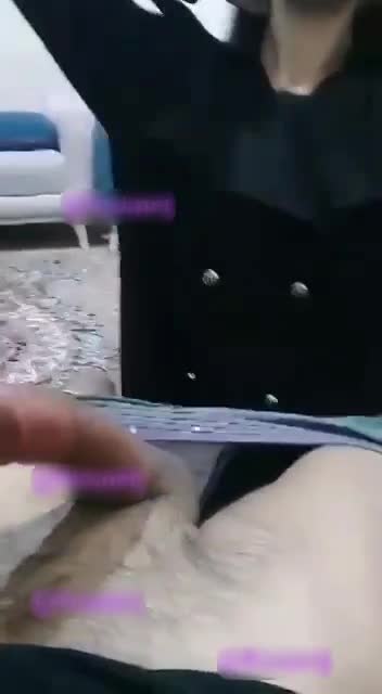 دختره واسه دوس پسرش ساک میزنه ، میگه دندون نزن کوس کش.mp4 - تماشای آنلاین در بکن تو