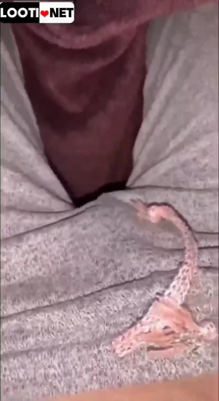 دختر حشری ممه های سفید و کص خیسش میماله.mp4 - تماشای آنلاین در بکن تو