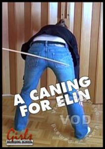 A Caning For Elin
