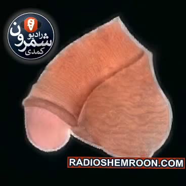 porn ایرانی | K2K-1101927 | مدت 02:28، کیفیت 480p